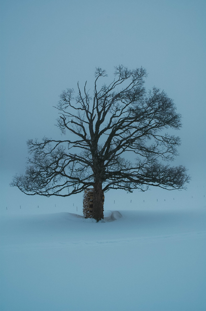 Der Winter ist noch da, zum Glück