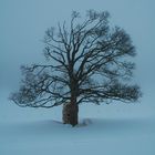 Der Winter ist noch da, zum Glück