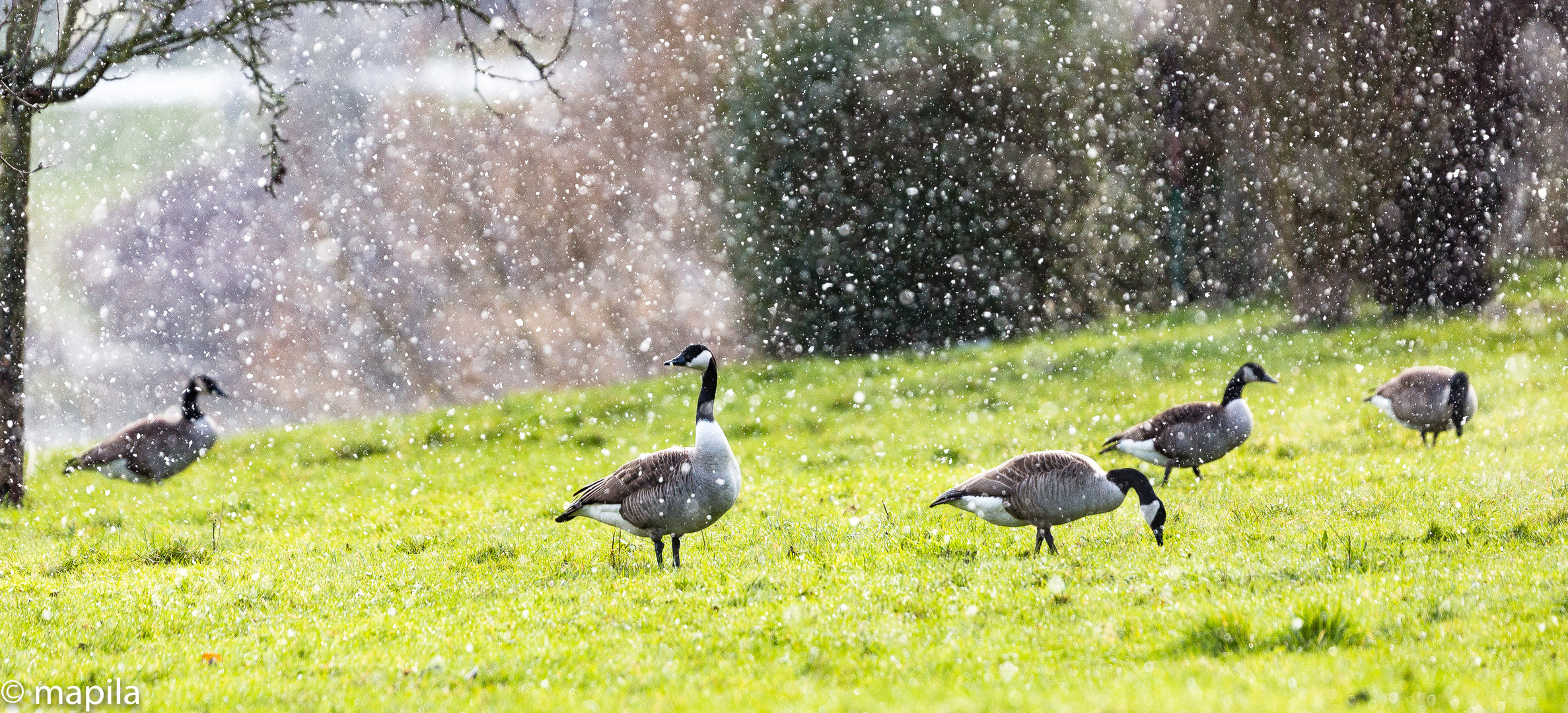 ...der Winter ist noch nicht vorbei...