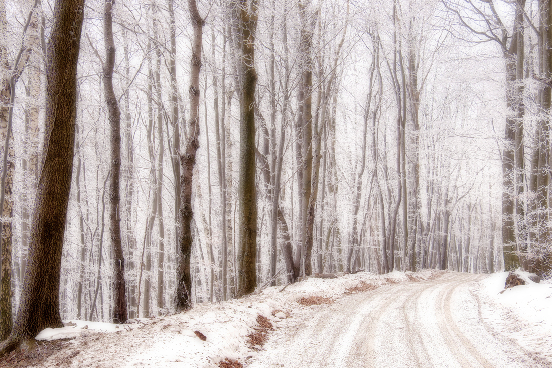 Der Winter ist noch nicht vorbei