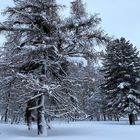 Der Winter ist nochmals zurückgekehrt