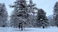 Der Winter ist nochmals zurückgekehrt