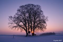 Der Winter ist schön