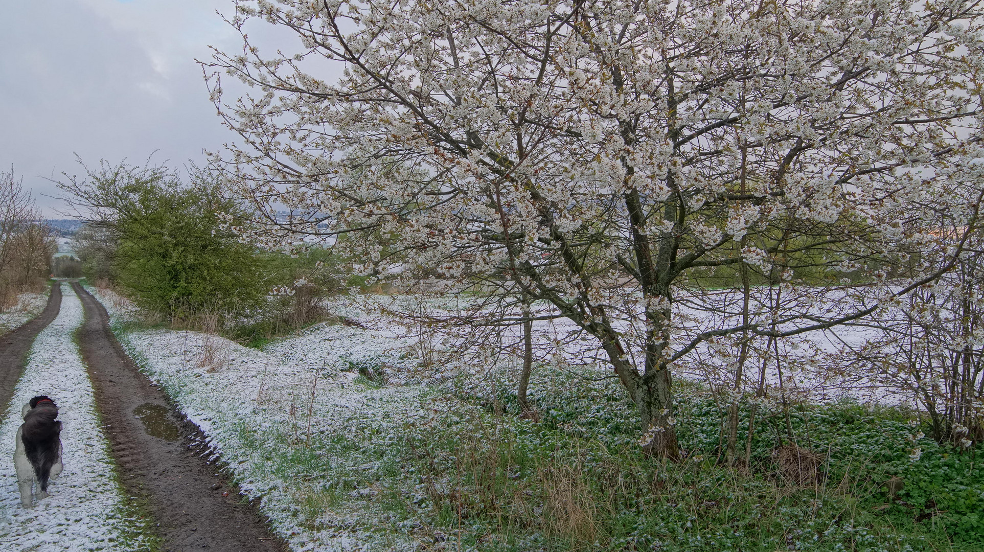 der Winter ist wieder gekommen, 2 (el invierno ha llegado otra vez, 2)