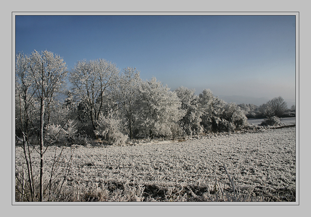 Der Winter ist wieder zurück ???