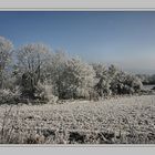 Der Winter ist wieder zurück ???