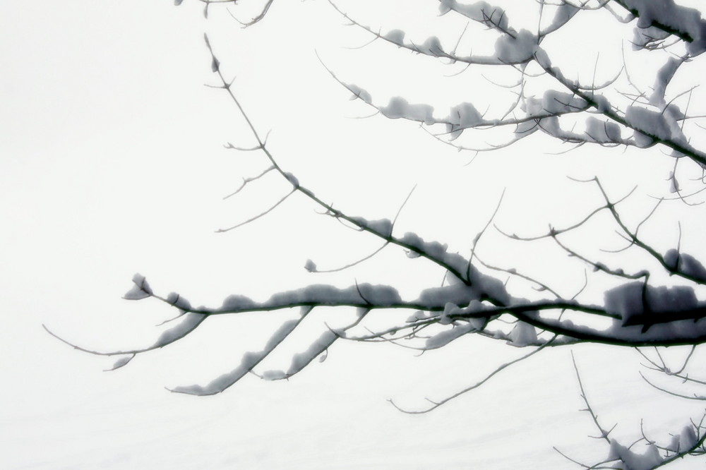 ...der Winter ist zurück....