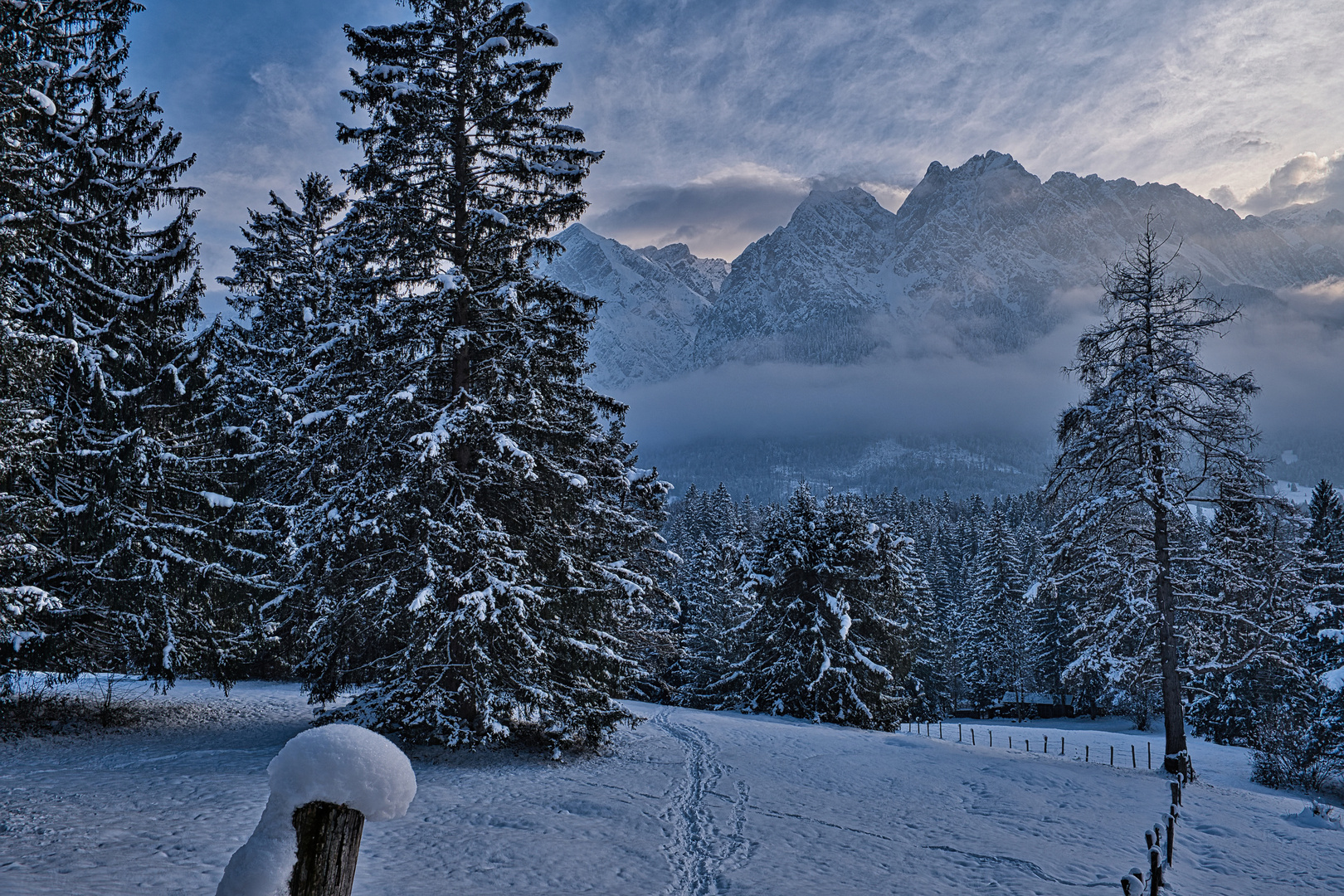 Der Winter ist zurück - 1-