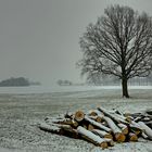 Der Winter ist zurück...