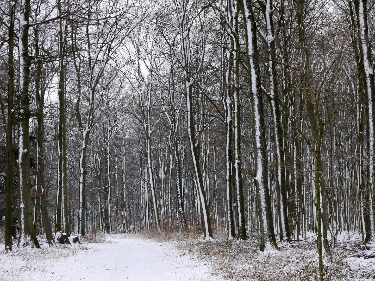 Der Winter ist zurück!