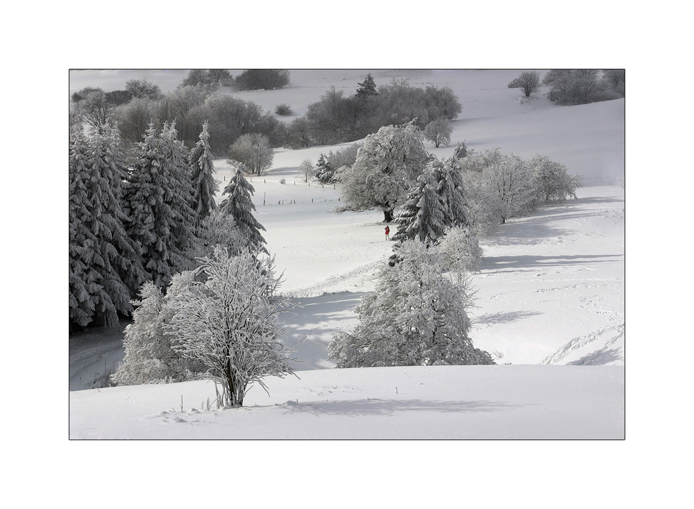 Der Winter ist zurück