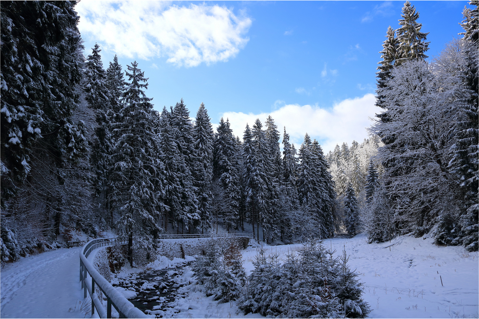 Der Winter ist zurück...