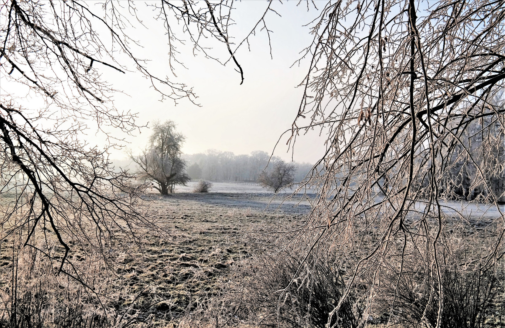frost Foto & Bild  landschaft, jahreszeiten, winter Bilder auf  fotocommunity