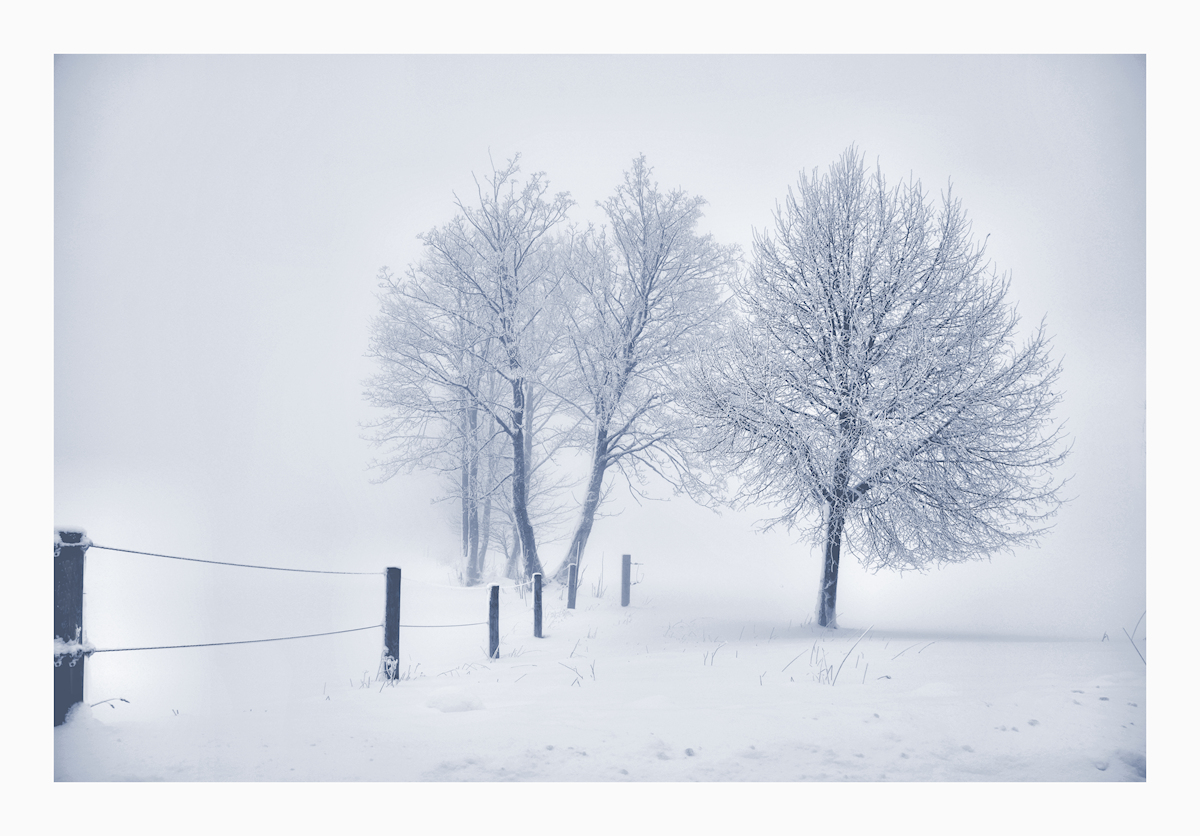 der WINTER ist zurück. .....