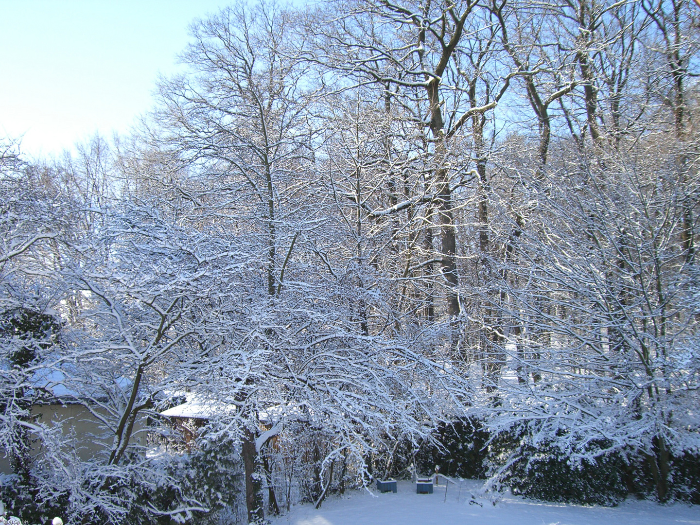 Der Winter ist zurück 4