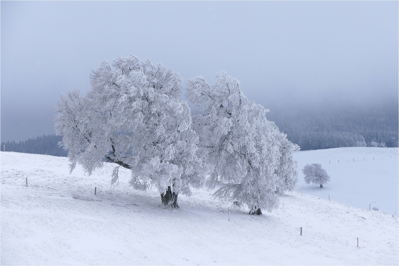 Der Winter ist zurück