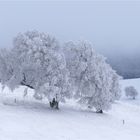 Der Winter ist zurück