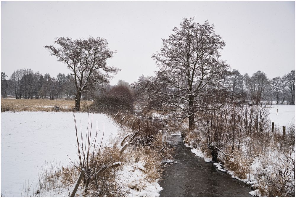 der Winter ist zurück