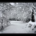 Der Winter ist zurück ???