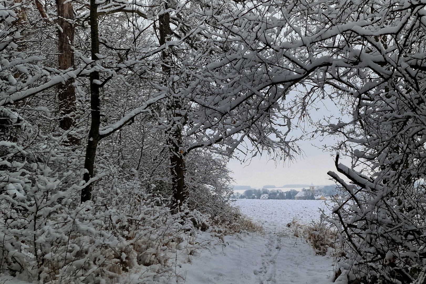 Der Winter ist zurück!