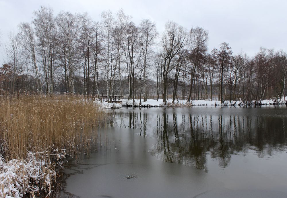 Der Winter ist zurück