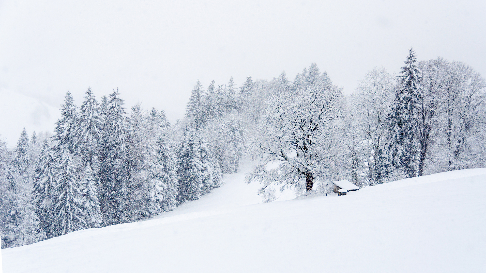 Der Winter ist zurück