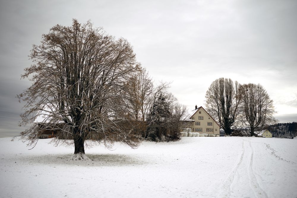 Der Winter ist zurück