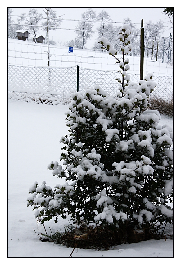 Der Winter ist zurück