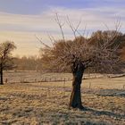 Der Winter ist zurück