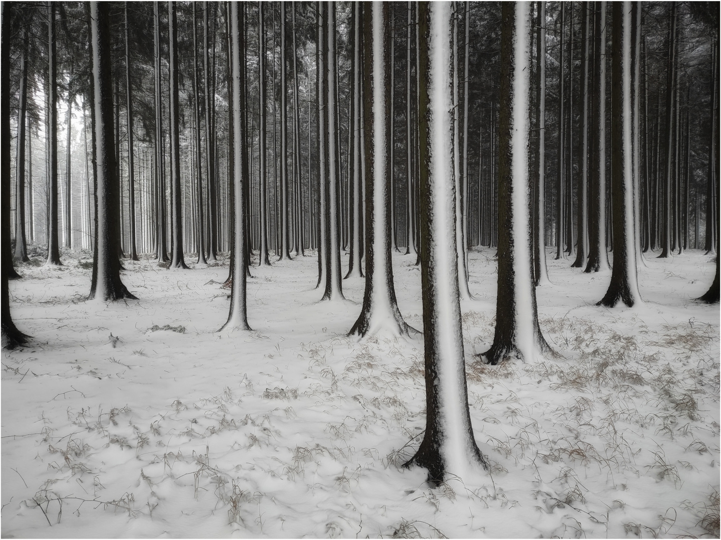 Der Winter ist zurück 