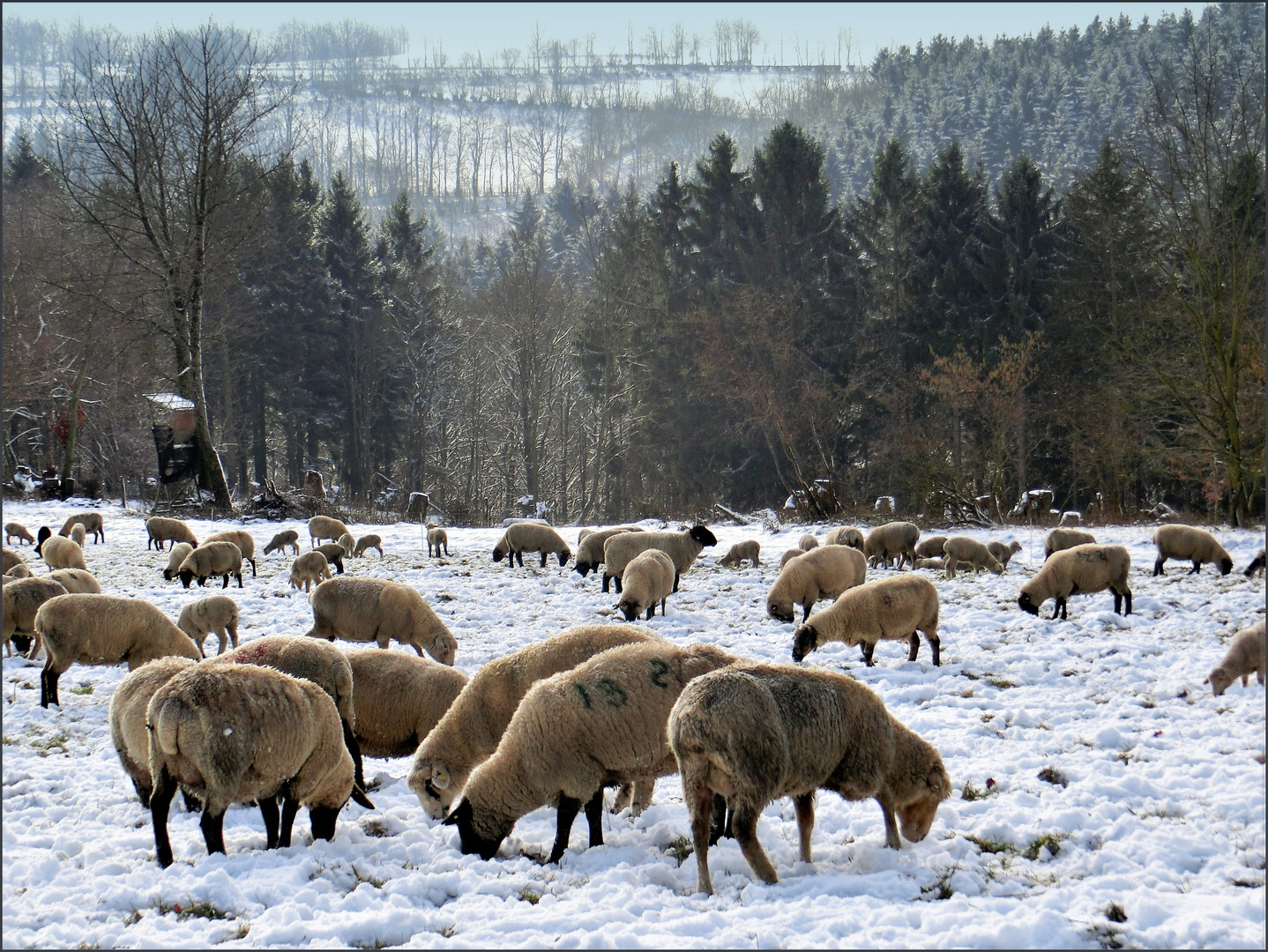 Der Winter ist zurück