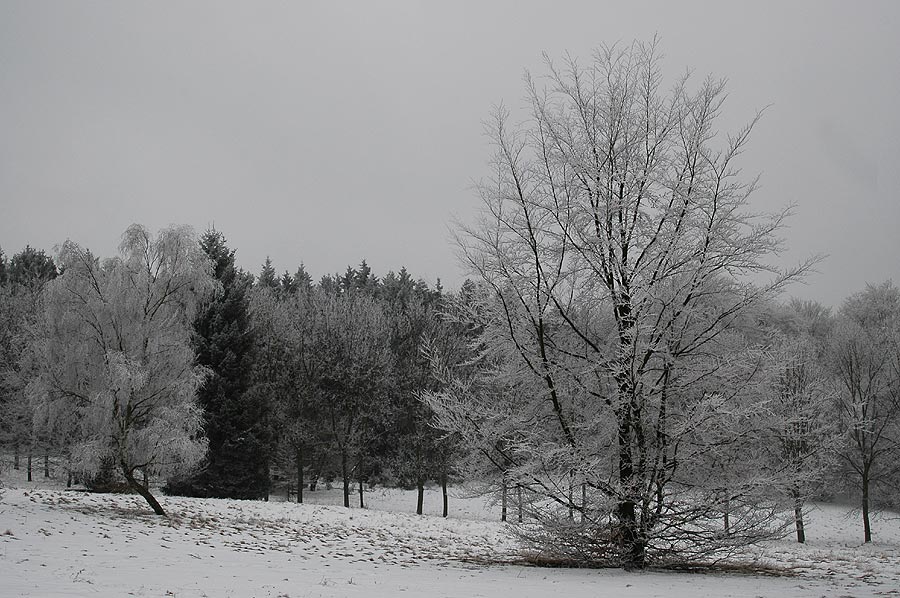 Der Winter ist zurück