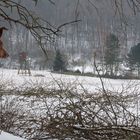 Der Winter ist zurück