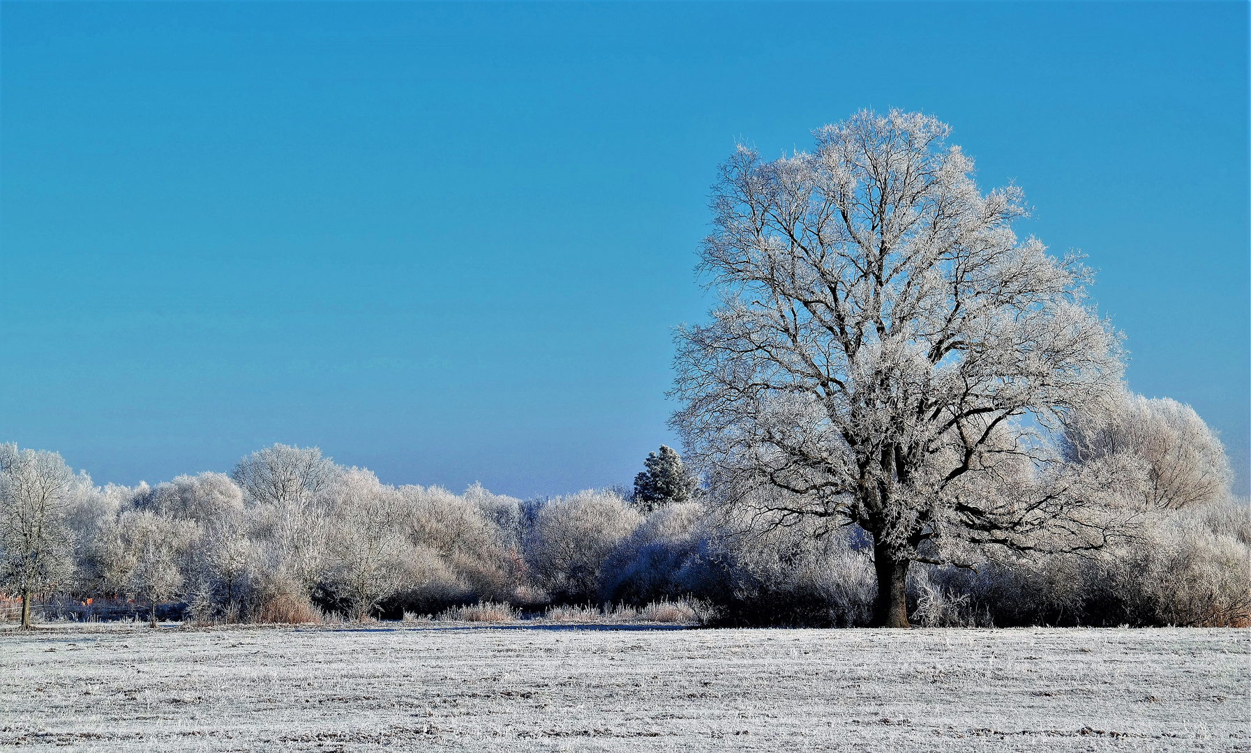 Der Winter ist zurück