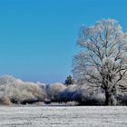 Der Winter ist zurück