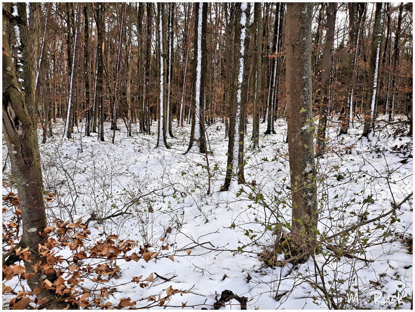 Der Winter ist zurück gekehrt ,