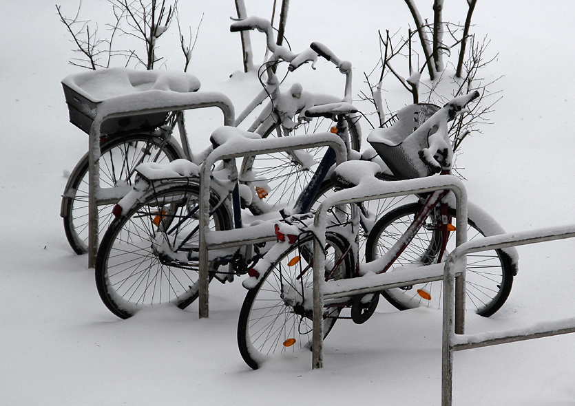 Der Winter ist zurückgekehrt II