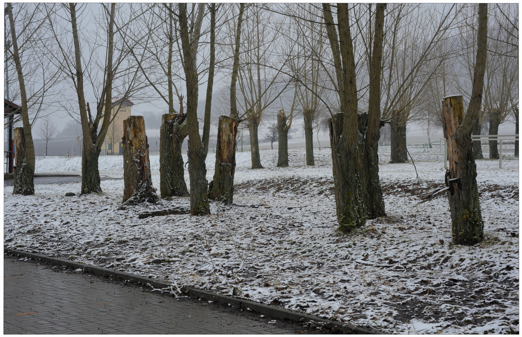 Der Winter ist zurückgekommen (el invierno vuelve)