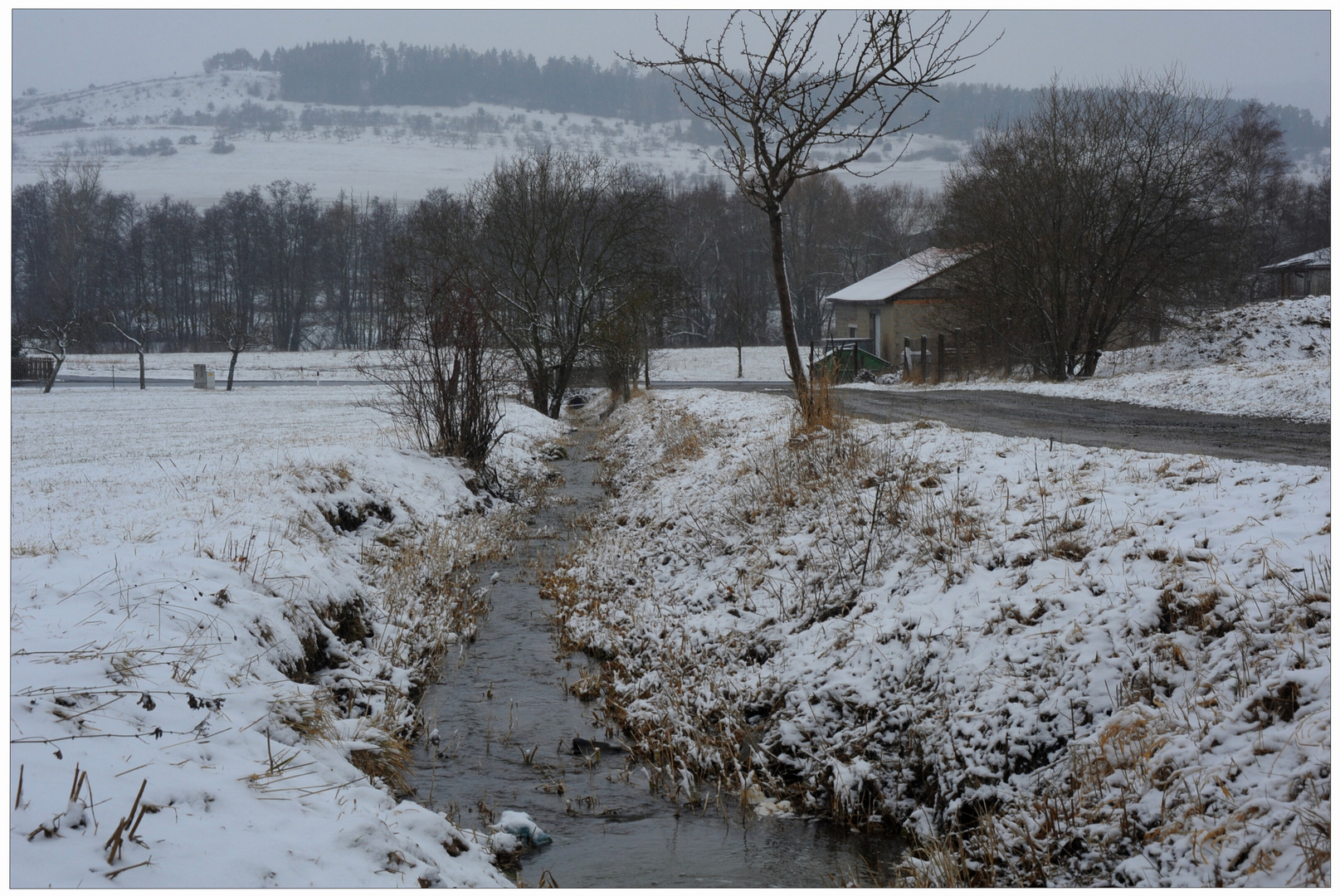 Der Winter ist zurückgekommen II (el invierno vuelve II)