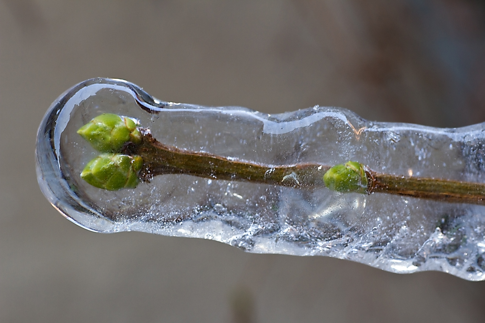 Der Winter kam zurück...