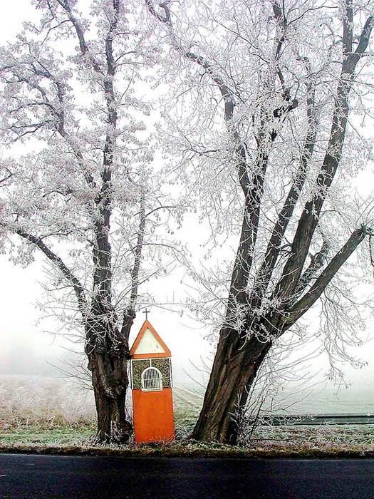 Der Winter kam zurück ...