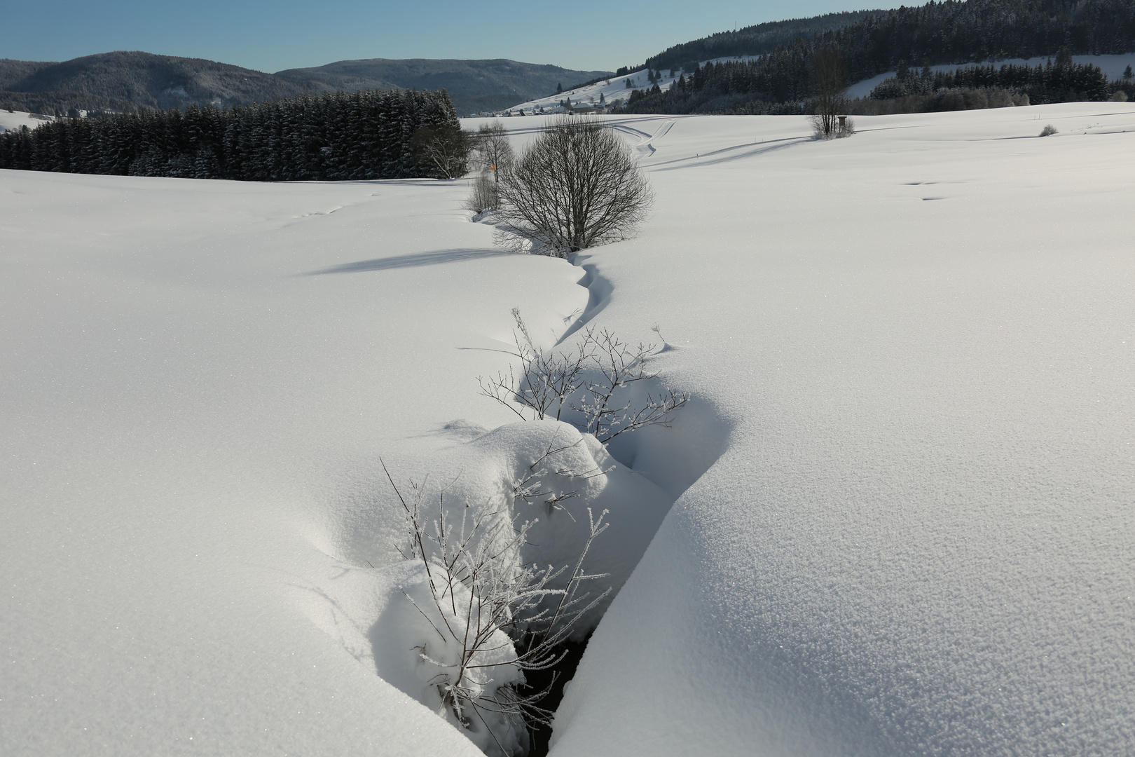 Der Winter kann doch so schön sein!