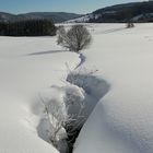 Der Winter kann doch so schön sein!