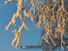 Der Winter kann ja so schön sein....