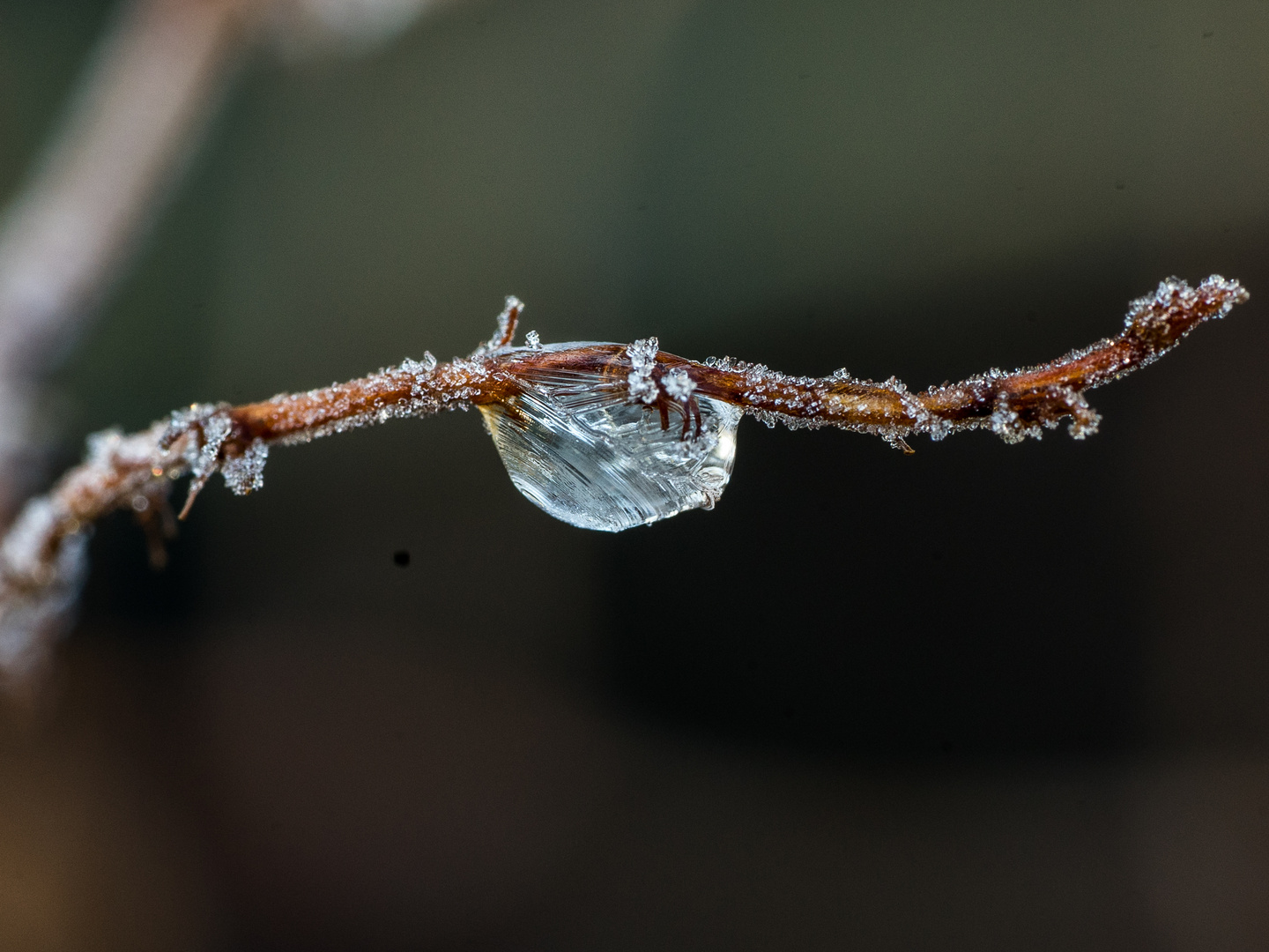 Der Winter kann kommen