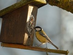 ... der Winter kann kommen ...