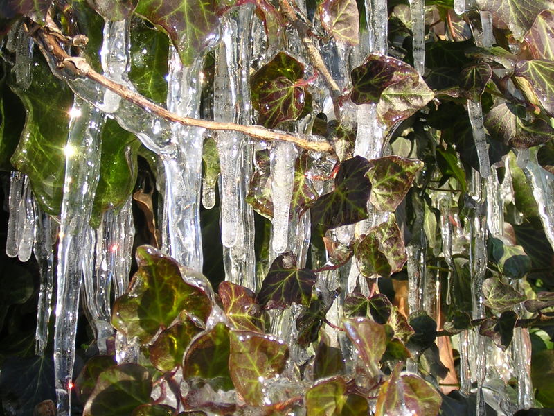 Der Winter kann so schön sein