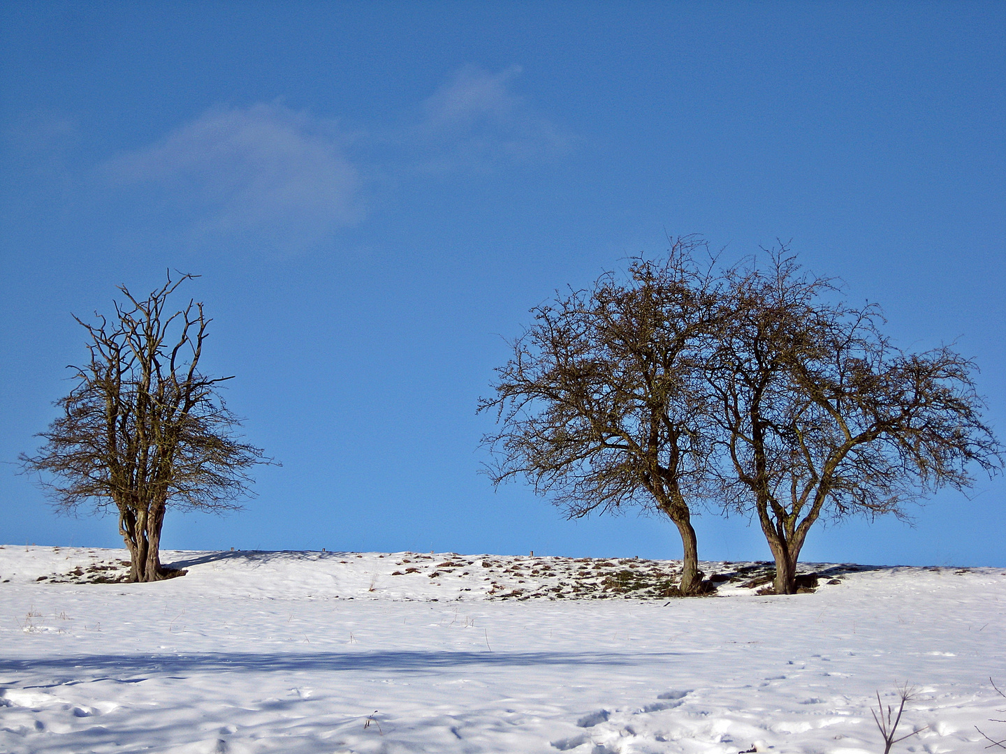 Der Winter kann so schön sein.