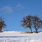 Der Winter kann so schön sein.