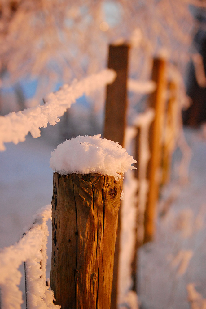 ....der Winter kann so schön sein....